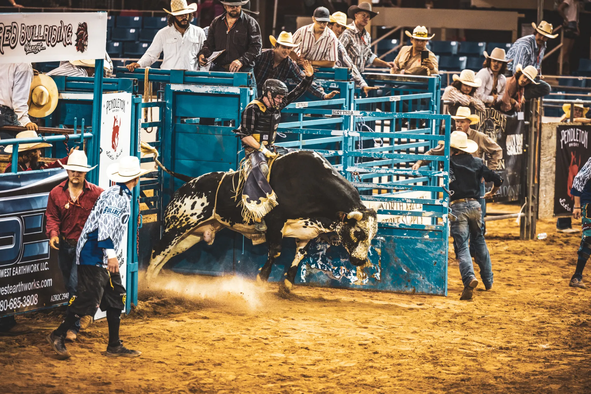 Professional content